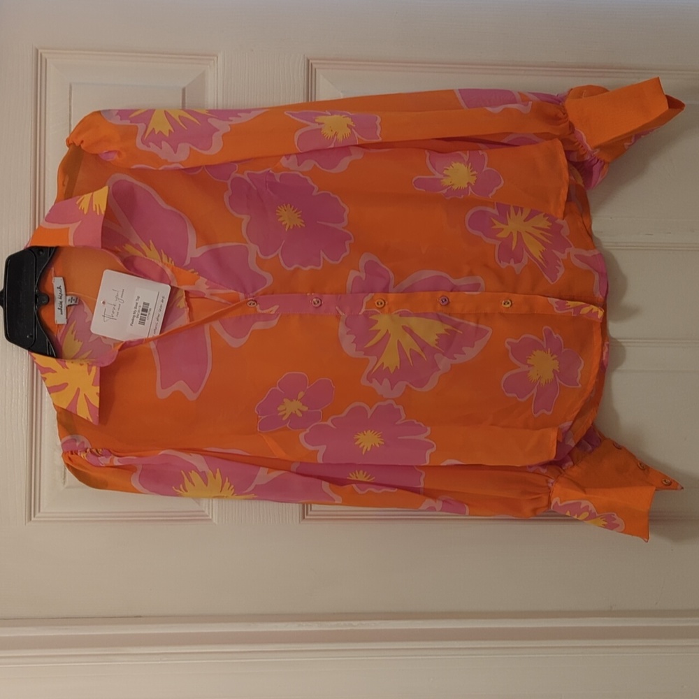 Chiffon sheer Blouse